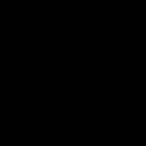 Meet your Posher, Cheslav